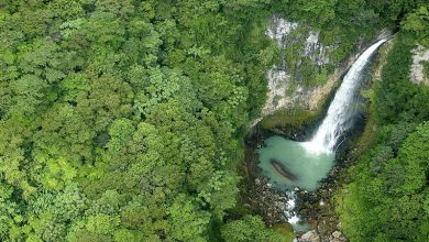 آشنایی با آبشار ویکتوریا در دومینیکا