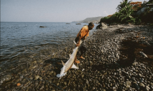 ماهیگیری در دومینیکا